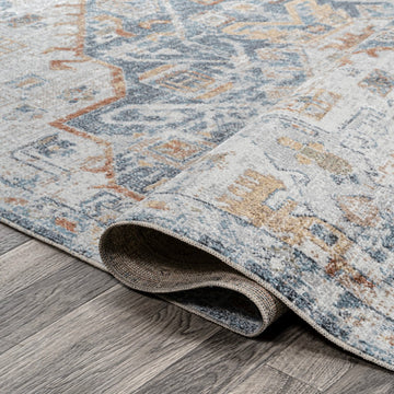 Shaemus Bohemian Medallion Low-Pile Machine-Washable Area Rug